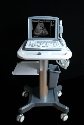 Escaneador de ultrassom de diagnóstico digital completo portátil OEM