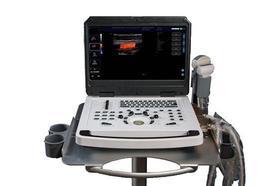 CE Portátil Color Doppler máquina de ultra-som scanner OEM